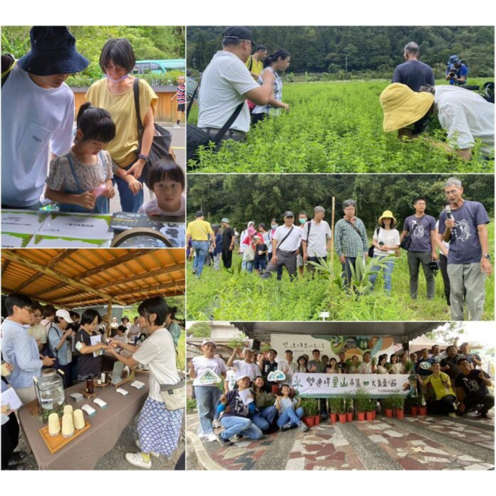 犬香薷節登場　以里山市集展現雙連埤的生活精神